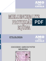 Mieloencefalite Protozoária Eqüina (EPM)