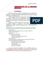 TEMA O-23.pdf