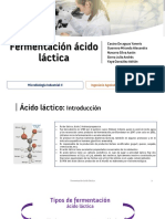 (Slides) - Fermentación Ácido Láctica PDF