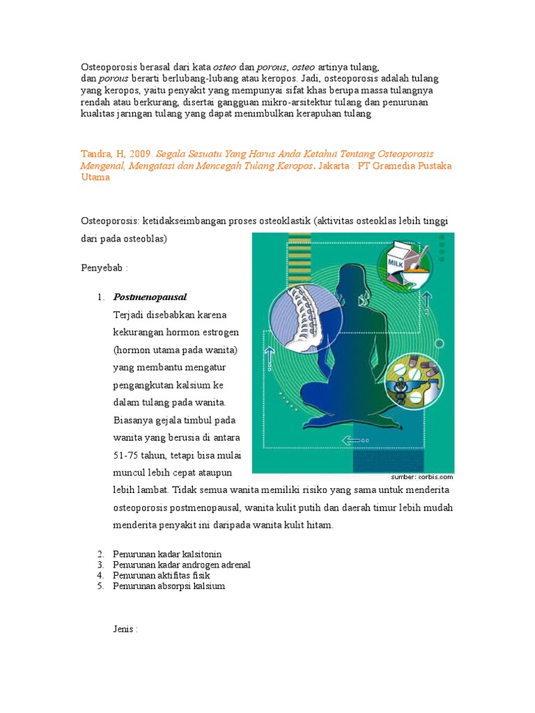 Osteoporosis Berasal Dari Kata Osteo Dan Porous Osteoporosis Berasal Dari Kata Osteo Dan Porous