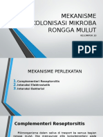 Mekanisme Kolonisasi Mikroba Rongga Mulut