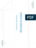 Comite de Direction PDF