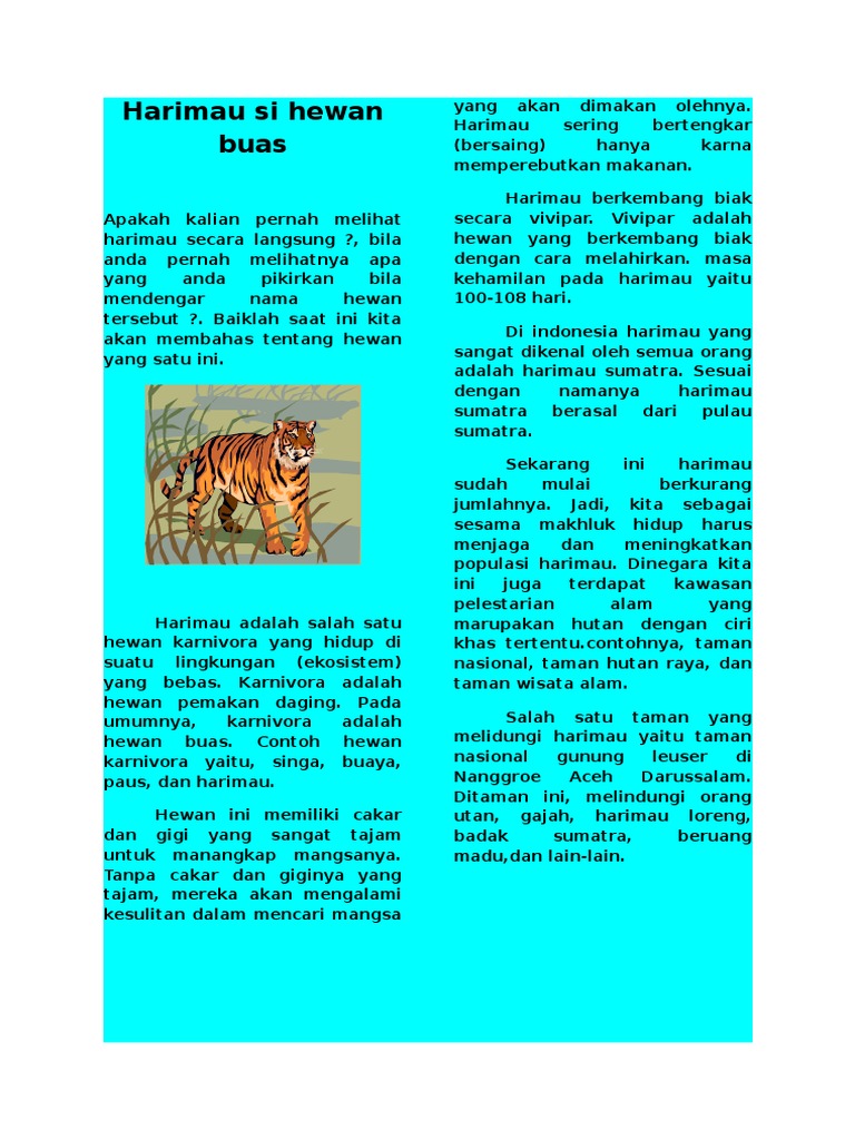 97 Koleksi Melihat Gambar Hewan Karnivora HD Terbaik