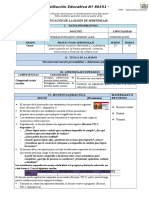 SESIÓN de APRENDIZAJE Organizadores Graficos