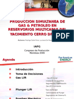 15.00hs.Dalle Fiore.ppt Presentaci�n HGOR Production V2.ppt