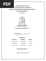 calculos analisis instrumental