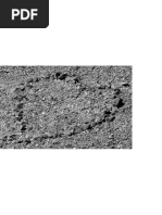 imagem e discurso - os desafios de se pensar o icônico na atualidade.pdf