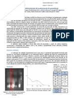 Relatorio Final GM PDF