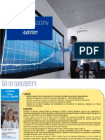 Audit intern - curs online CAFR.pdf