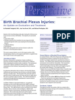 Birth Brachial Plexus Injuries Update