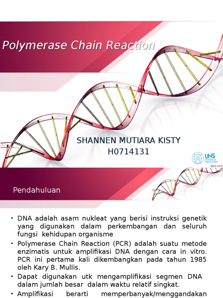 Proses dan Komponen PCR dalam DNA | PDF