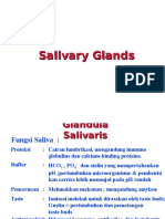 3 - Salivary Gland