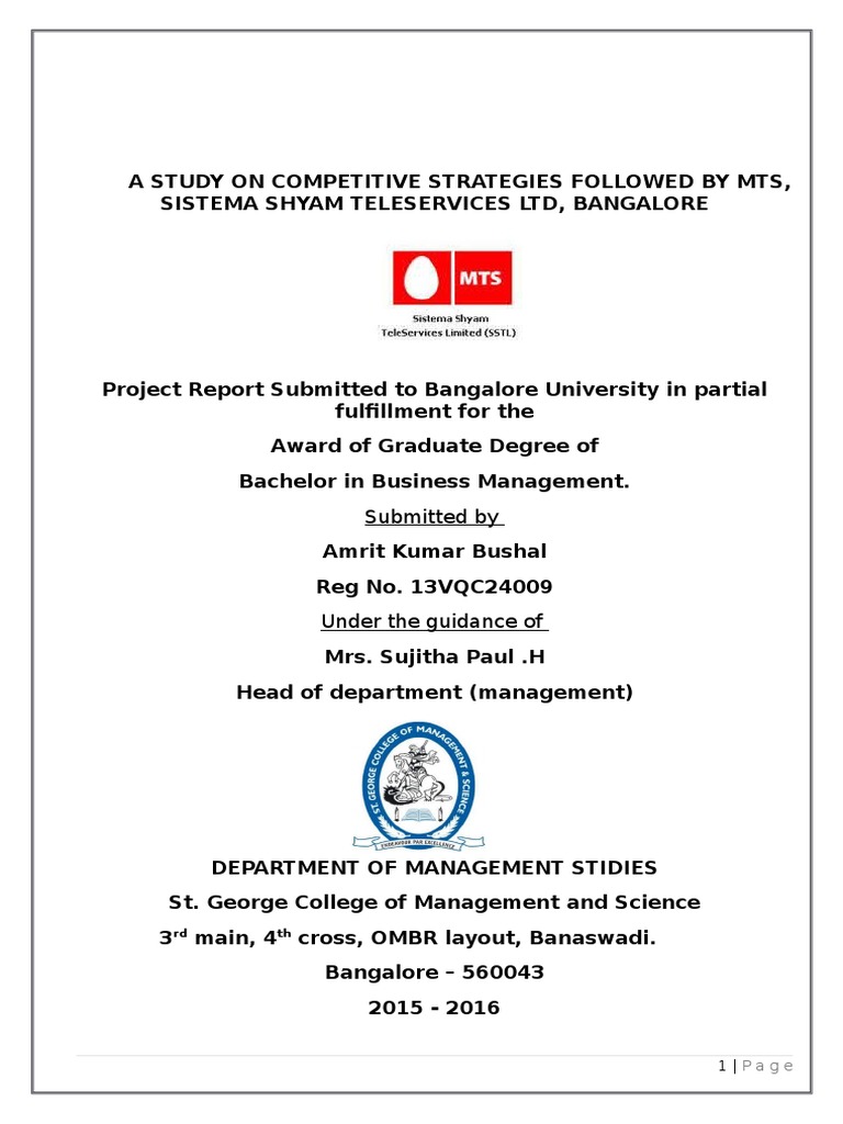 Mts Project | PDF | Marketing | Advertising