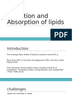 Lipids Digestion and Absorption