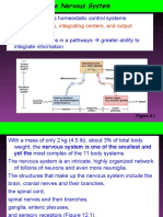 Nervous System BSC 20161