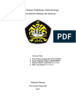 Laporan Resmi Praktikum Mikrobiologi Batas Mikroba Makanan