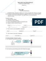 CLR Evaluare Initiala Clasa 2a