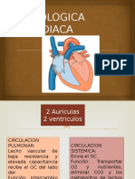Fisiologica Cardiaca