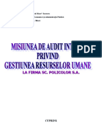 Misiunea-de-Audit-Intern-Privind-Gestiunea-Resurselor-Umane.doc