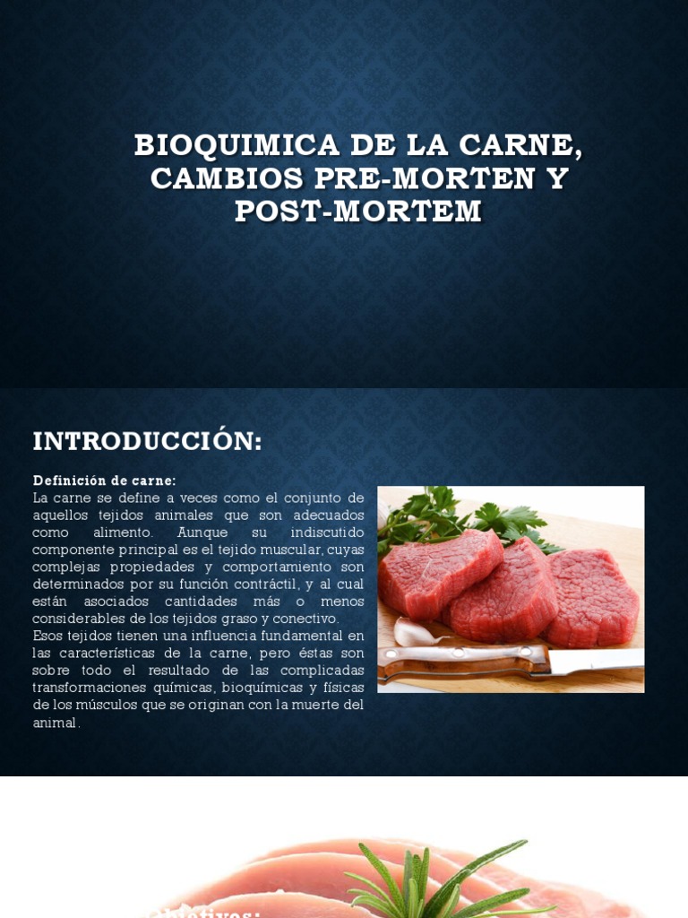 Bioquimica de La Carne Carne Proteínas