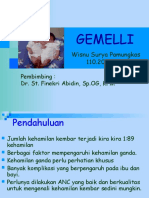 133659902-gemelli-ppt