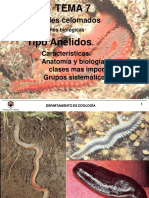 Tema 7 Anfibios - Zoologia Ambiental - Universidad de Córdoba 