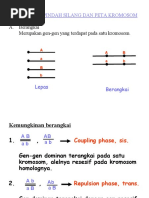 Download peta kromosom by Hendrik_Nurfitrianto SN34761070 doc pdf