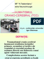 Traumatismul Craniocerebral 2