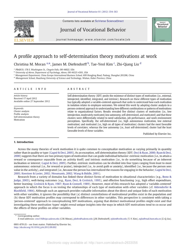 Self-Determination Theory Motivations at Work | PDF | Motivation ...