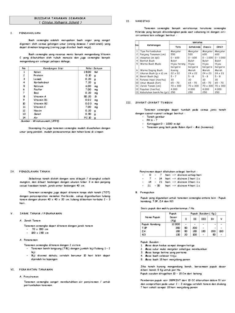 budidaya-semangka.doc