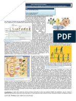 guía 9 la evolución de la vida humana.docx