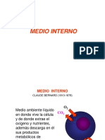 Medio Interno