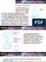 Especial Salud Cáncer - 3 - Fundación Keshe 2017.pptx