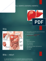 Circuitul Hepato Entero Hepatic