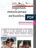 Culturas Indígenas Mexicanas Actuales