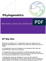 Phylogenetics