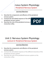 6 - Peripheral Nervous System
