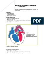 Cardiopatías Congenitas-Embriología, Resúmen Para Examenes