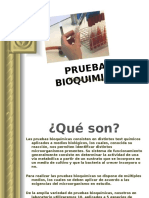 pruebasbioquimicas-100526093311-phpapp02.pptx