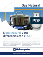 Folleto14 El Gas Natural y Sus Diferencias Con El GLP PDF