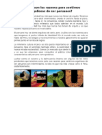 Cuales Son Las Razones para Sentirnos Orgullosos de Ser Peruanos