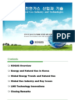 글로벌 천연가스 산업과 기술