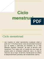 Desarrollo Prenatal