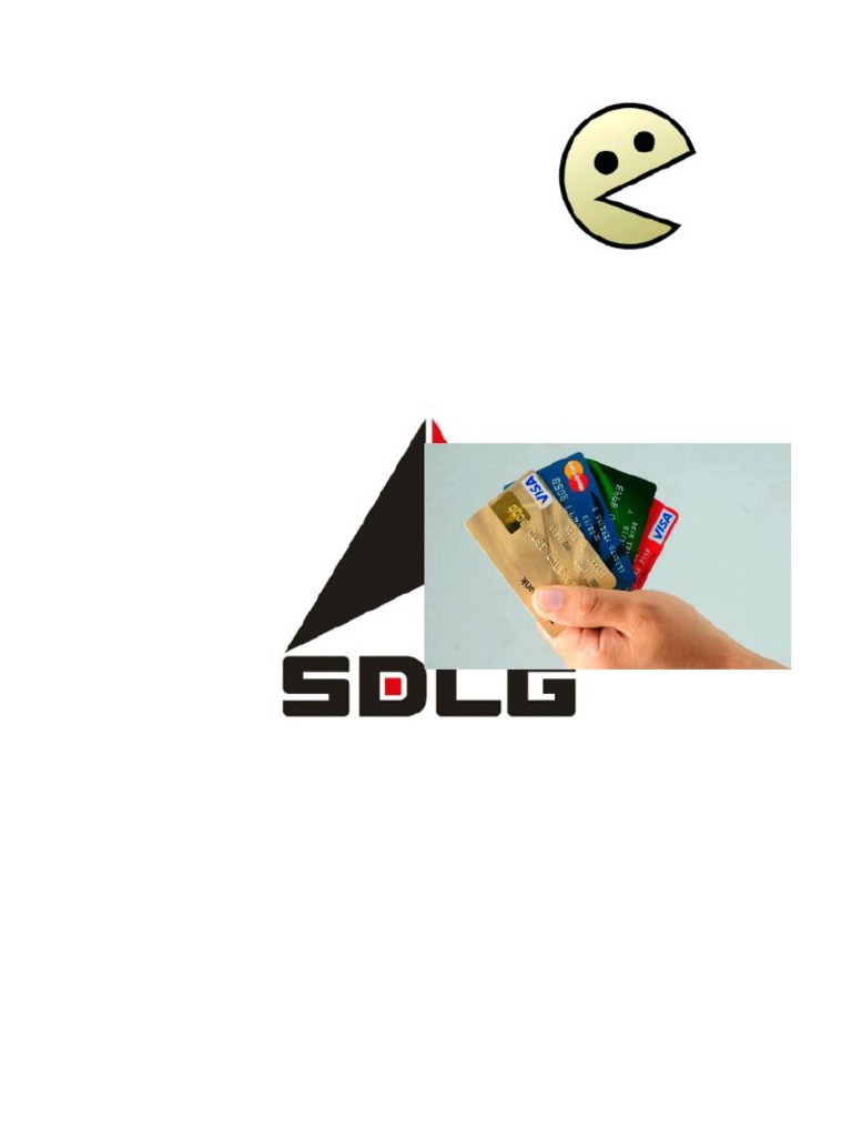 Guia Bins Y Carding PDF Red privada virtual Tecnología financiera