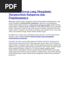 Download 5 Contoh Hewan Yang Mengalami Metamorfosis Sempurna Dan Penjelasannnya by Pendam Sriwijaya SN347671748 doc pdf