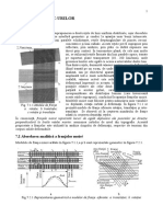 Modul 3 Metoda Franjelor Moire