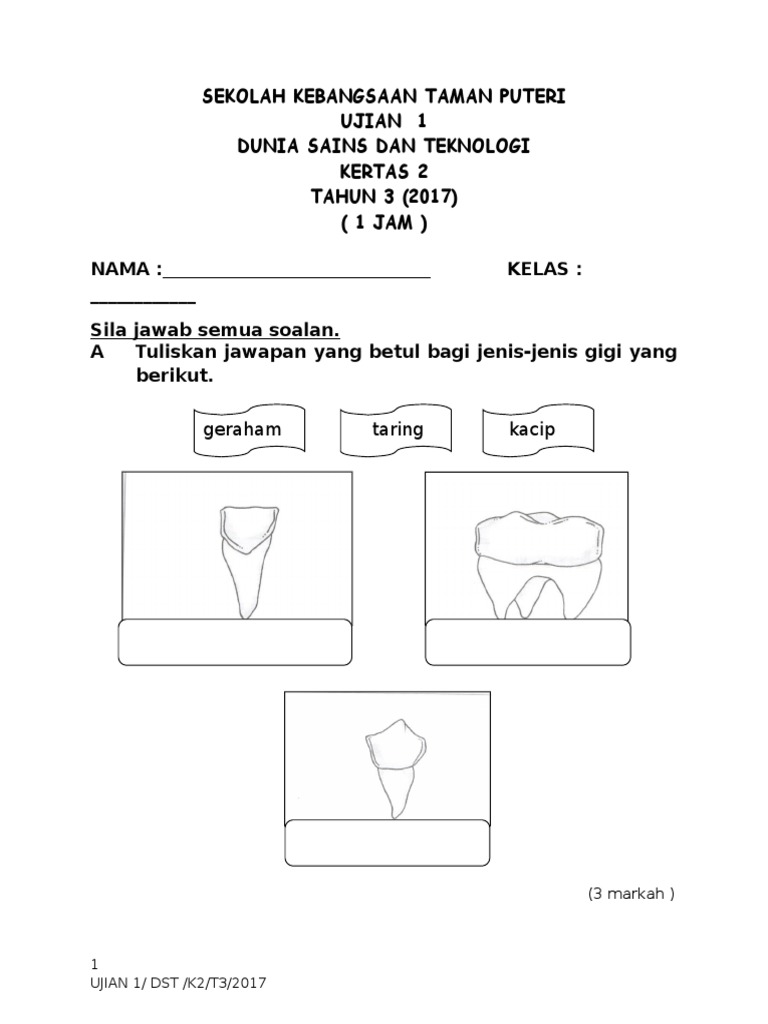 Soalan DST Tahun 3 Ujian 1 Kertas 2 (2017)  PDF