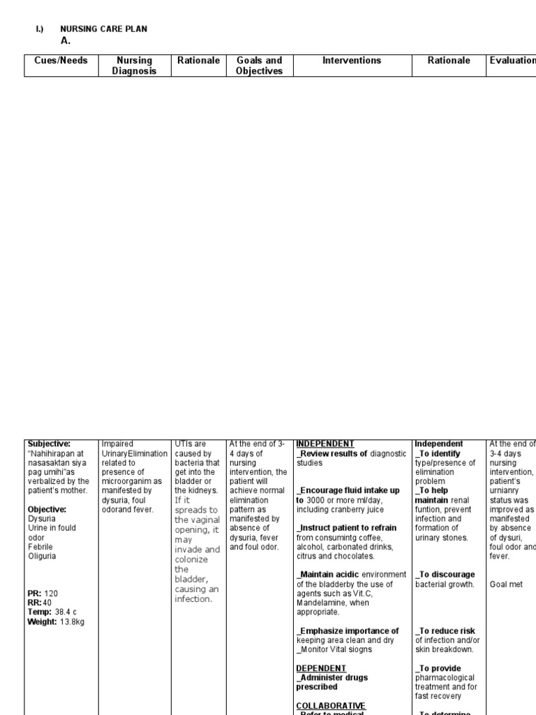 Nursing Care Plan for Urinary Issues | PDF | Urology | Medicine