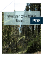 89588313-Conifer-Silviculture.pdf