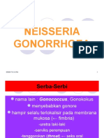 Neisseria Gonorrhoea